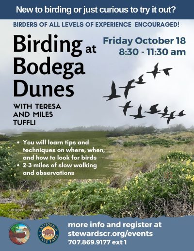 Event: Birding at Bodega Dunes October