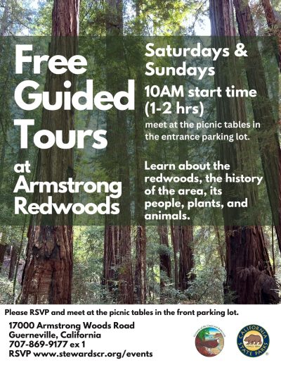 Event: Free Guided Tours at Armstrong Redwoods!