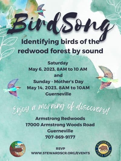 Event: Birding the Redwood Forest - Mother's Day!